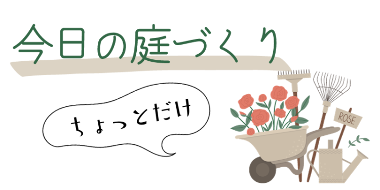 今日の庭づくりちょっとだけ